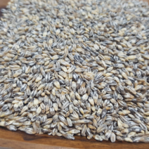 러브그레인 2021년 검정보리 쌀 블랙보리 흑보리 흑찰보리 쌀, 1개, 2kg