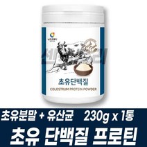 프로틴 파우더 초유 단백질 단백 분말 비타민C L아르지닌 귀리식이섬유 프로바이오틱스