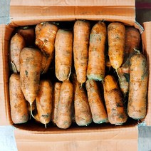 싱싱한 국내산 햇당근 국산당근 흙당근 3kg 5kg, 흙당근 쥬스용 3kg, 1개