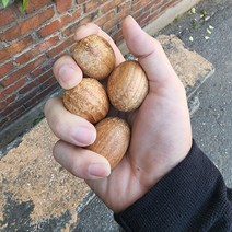 효도선물 부모님선물 손가락 안마기 손지압 마사지 볼 손지압기 손바닥지압, 01) 효도마사지볼(12~13구)+복주머니