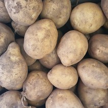 국산 햇감자 수미감자 알감자 중대 3kg 5kg 10kg, 03_감자 10kg 중대