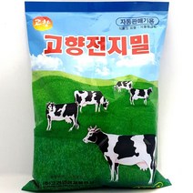 자판기용 분말차 우유차 고향 전지밀 전지분유 1000g, 단품, 단품