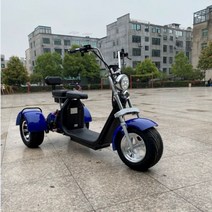 세발전기자전거 삼륜전동스쿠터 자전거2022 와이드 타이어 할리 스케이트 보드 리튬 성인, 60v, x11 삼륜 12a 리튬 배터리