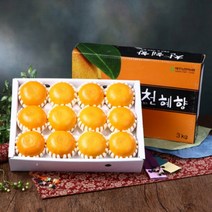 [명절선물] 천혜향 선물세트 설 명절 구정 선물 3KG, 3호