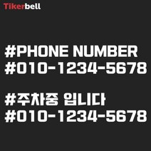 차량용 주차 전화번호 알림 판 전사 스티커 빌라, 레드, C타입