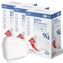 삼흥얼큰이황사방역마스크(KF94) 삼흥더얼큰이황사방역마스크(KF94)(대형), 50매입, 3개, 화이트