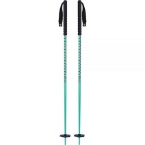 Black Crows 스키스틱 Oxus Ski Poles, Winter 22/23 - Green, 120cm