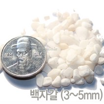 백사 약 3kg (3~5mm) 어항 바닥재 구피바닥재, 단품