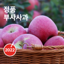 아빠와사과밭 경북 봉화 산지직송 꿀 부사사과, 10kg - 30과 (중과)