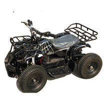 사발이 네발 4발 전기사륜바이크 농업용오토바이, 24v350W12AN장식