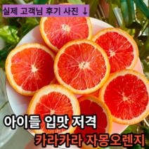 [새콤달콤자몽오렌지] 마미템 카라카라 오렌지, 1개, 중과 4kg