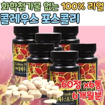 100% 리얼 콜레우스 포스콜린 순간 냉각 진공 농축 이산화규소 화학 첨가물 없는 무 부형제 코스콜리 폴레우스 포스폴리 추출물 추출 분말 타블렛 폴리우스 콜리우스 콜리 포스코리
