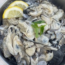 [통영 산지직송] 통영 최상급 생굴 1kg/2kg (중대), 통영생굴_2kg(중대)