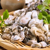 [요리하는남자들] 통영 생굴 깐굴 1kg 삼배체 하프셀 하프쉘 1단 7미 삼배체 석화 굴 석굴 각굴 2kg, 햇생굴 500g