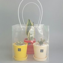 고급 종이쇼핑백 5p 비닐코팅종이백 종이가방 선물용 쇼핑백 선물가방, 39.투명사각 비닐쇼핑백-대형(5장)SCF52