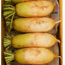 알뜰농장 다발무 작업된 고랭지 황토 햇 무 최상품 3~4수/5~6수 (7-9kg 내외), 1개, 고랭지 햇 황토 무  5-6수 (7-9kg내외)