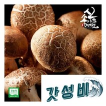 송이향 무농약 신송이버섯 1kg 내외2급