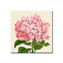 DIY캔버스페인팅 명화그리기 유화 세트 그림 액자, E50_핑크수국