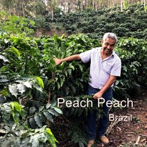 [위트러스트] 브라질 피치피치 200g Brazil Peach Peach/ 스페셜티 커피 원두, 커피메이커