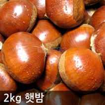 2022년 햇밤(대) 2kg 깐밤가능 충남 공주/부여, 알밤(대)2kg+밤가위