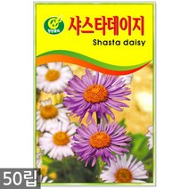 강낭콩 2g - 콩 씨 씨앗 강낭콩씨앗 강남콩씨앗 강낭콩씨, 14_청농_샤스타데이지(50립)