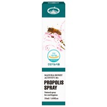 네이쳐스탑 오리지널 프로폴리스 스프레이, 35ml, 1개