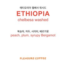 [라이트로스트] 에티오피아 첼베사 워시드 200g / 플레져커피 원두커피 스페셜티커피 홀빈 원두납품, 그 외(요청사항에 적어주세요), 1개