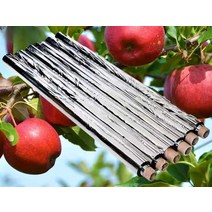 CASHL 사과반사필름 시트 1M 보조광 은박필름 복숭아, 폭 1미터 길이 200미터(타공)