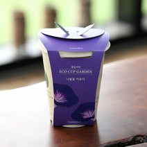 에코컵가든 나팔꽃 키우기 홈가드닝 꽃 씨앗 기르기 화분 세트