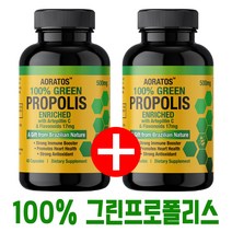 브라질 그린 프로폴리스 100% 가루 캡슐 1+1 플라보노이드 녹색 초록 효능 추천, 1+1병, 60캡슐