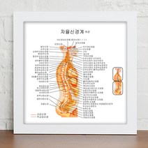 데코밍샵인체의신비_다양한신경계와중요기관들_벽걸이프레임액자, 블랙