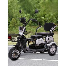 삼륜 전동 스쿠터 삼발이 삼토바이 세발오토바이, (삼륜스쿠터/600W)