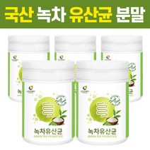 녹차유산균 프리미엄 프로바이오틱스 분말 가루 파우더 5통 대용량 락토바실러스 비피덤 람노수스 퍼멘텀 프라토올리고당 함유 루테리 김치유산균 장건강 유산균 먹이 플란타럼 균주 발효