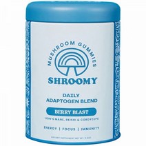Shroomy Mushroom Gummies 에너지 집중력 일일 강장제 혼합 베리30인분