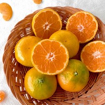 [제주열매] 서귀포 직송 고당도 제철 감귤, 2kg, 고당도 하우스 감귤, 로얄소과 (2S-S), 1개