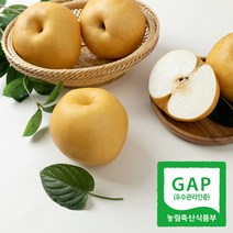 [달찐과일] GAP공식 당도선별 고당도 나주배 (나주 산지직송), 10. 나주배 가정용 15kg (21-25과)