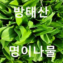 강원도 인제군 방동리 을릉도 명이나물1kg/ 산마늘1kg 친환경재배 1인농부 직배송