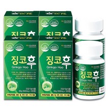 상상 징코후 기억력 개선 은행잎추출물 혈행개선, 6통, 120정, 120정