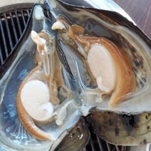국내산 생물 키조개 관자 구이 회 찜 3미 5미 중대 사이즈 산지직송, 생물 키조개 (3미)