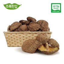 초록한입 국내산 유기농 건 표고버섯 200g+사은품, 1봉, 200g