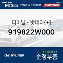 밧데리 터미널(+) (919822W000) 맥스크루즈 올뉴 싼타페 싼타페 더 프라임 제네시스 G70 더뉴 제네시스 G