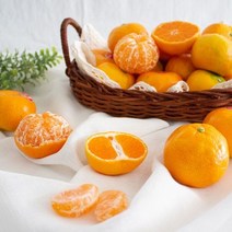 제주 감귤 서귀포 밀감 추석 명절 가정용 선물세트 경매장직배송 2.5kg 5kg 10kg띠용청과