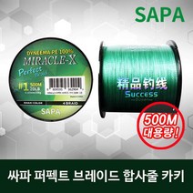 선상낚시 먼바다 갈치 출조 채비 8호 낚시 원줄 합사라인 낚시채비 입문낚시줄