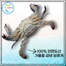 [대륙붕농수산][한정판매]안면도 가을 급냉 암꽃게 2kg (알 수율60~70% 4~8마리)