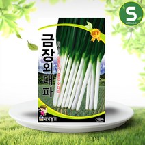솔림텃밭몰 대파씨앗 2000립 금장외대파 외대파 파씨앗, 1개