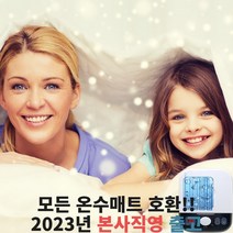 모든 온수매트 호환 수리용 보일러 총알배송 본사직영 고장수리용 1채널, 단품