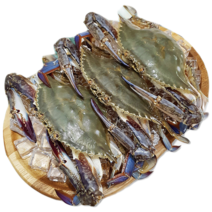 가을 꽃게 제철 당일조업 1kg 활꽃게 숫꽃게 암꽃게, 가을꽃게(암수혼합)1kg(3~4미), 1개