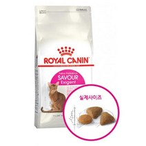 로얄캐닌 성장발육도움 고단백 냥이 고급사료2kg 훈련보상 흥미