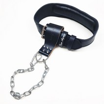 투어게인 중량 벨트 딥 딥스 역도 파워 리프팅 풀업 턱걸이 소가죽 웨이트 트레이닝, 1개