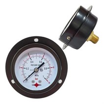 일반 계기 압력계 BD타입 판넬형 60파이 이지 용접 수도 측정 동파, 60파이 -1에서 10bar 연성계